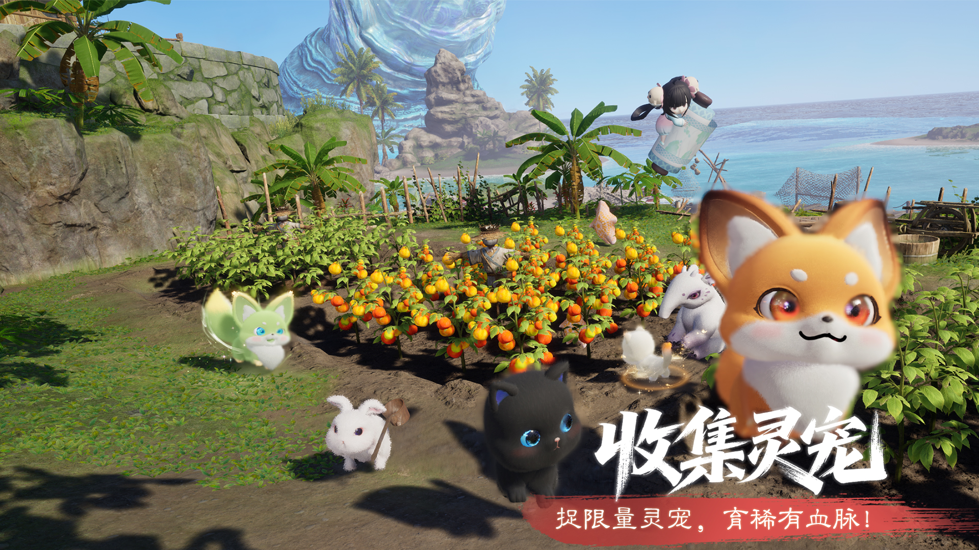 图片: 8-收集灵宠.jpg